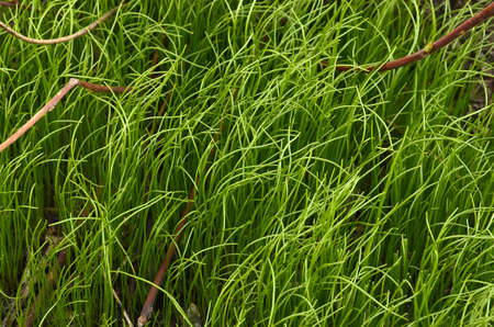 Escapeの写真素材