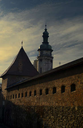 Lionsの写真素材