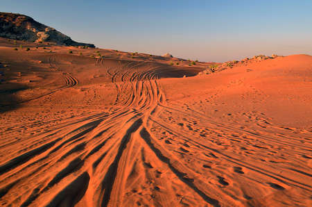 Wildernessの写真素材