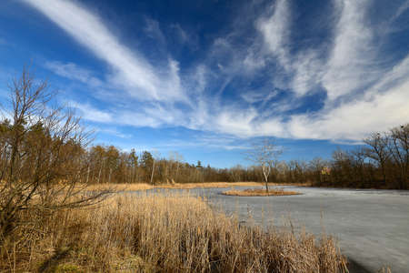 Spring landscape