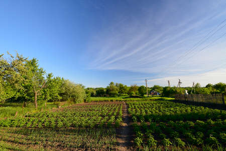 Volnoyeの写真素材