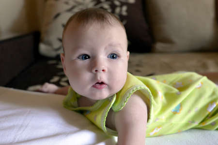 familyの写真素材