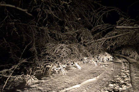 Winter landscapeの写真素材