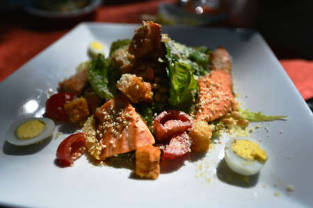 The main purpose of the food - a source of energy, renewable materialsの写真素材