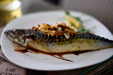 The main purpose of the food - a source of energy, renewable materialsの写真素材