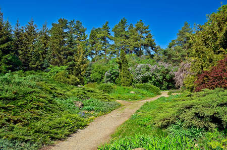 Sofiyivka National Dendrological Park is an arboretum, a research institute of the National Academy of Sciences of Ukraine, located in the northern part of the city of Uman, Cherkasy region of Ukraineの写真素材