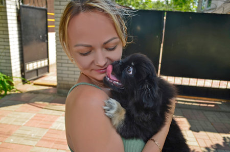 Family mom, daughter and grandmother play with a Pekingese puppy.