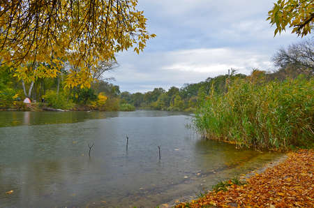 Autumn cold river in the forest during the rain.の写真素材