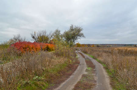 Autumn countryside landscape, evening sunset.の写真素材