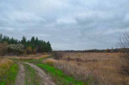 Autumn countryside landscape, evening sunset.の写真素材