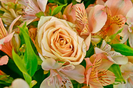 Beautiful bouquet of flowers of beige roses and lilies.の写真素材