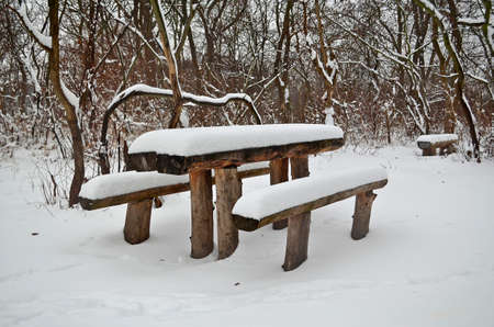 Children's playground with swings in winter with swings.の写真素材