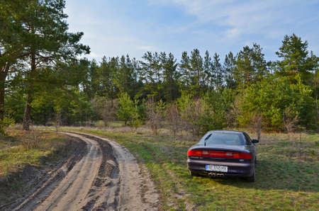 Ukraine, Novomoskovsk 04.11.2021. Beautiful sports car Ford Probe 2 in a pine forest.のeditorial素材