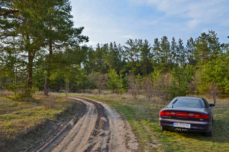 Ukraine, Novomoskovsk 04.11.2021. Beautiful sports car Ford Probe 2 in a pine forest.のeditorial素材