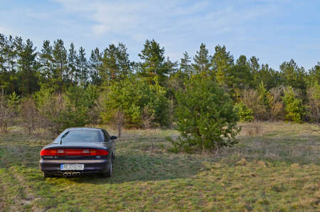 Ukraine, Novomoskovsk 04.11.2021. Beautiful sports car Ford Probe 2 in a pine forest.のeditorial素材