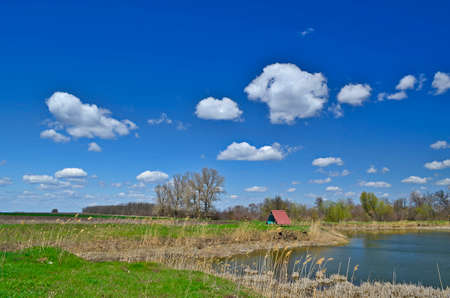 Countryside rural landscapes in the east of Ukraine, Novomoskovsk region.の写真素材