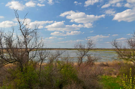 Countryside rural landscapes in the east of Ukraine, Novomoskovsk region.