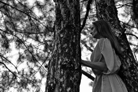 A beautiful woman in the form of a forest elf, in the thicket of the forest.の写真素材