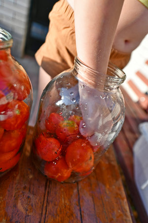 On a warm autumn day, a granddaughter helps her mother and grandmother prepare tomatoes for the winter. Eastern Ukraine.の写真素材