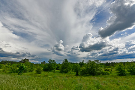 Beautiful forest landscapes of the first days of summer. Banks of a forest river, fields and forest edges.の写真素材
