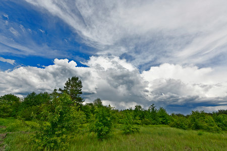 Beautiful forest landscapes of the first days of summer. Banks of a forest river, fields and forest edges.の写真素材