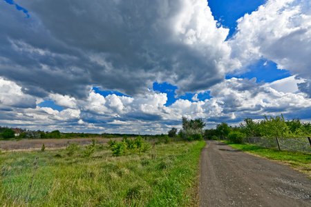Beautiful forest landscapes of the first days of summer. Banks of a forest river, fields and forest edges.の写真素材