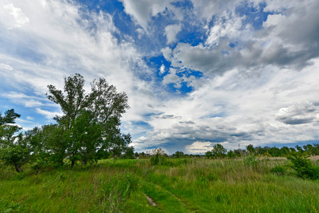 Beautiful forest landscapes of the first days of summer. Banks of a forest river, fields and forest edges.の写真素材