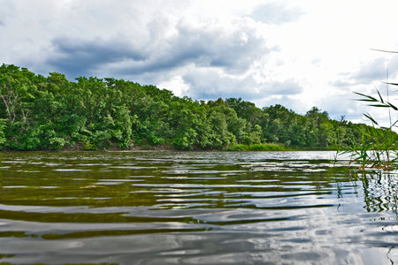 Beautiful forest landscapes of the first days of summer. Banks of a forest river, fields and forest...