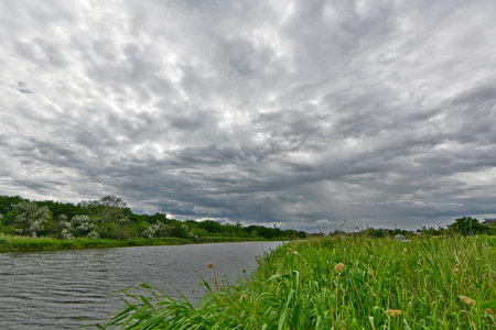 Beautiful summer landscapes on the banks of the Samara River, Ukraine.の写真素材