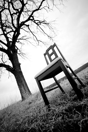 Modern chair under a tree in the fieldの写真素材