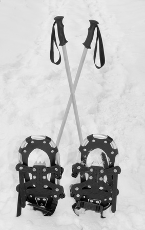 Snowshoes and hiking poles standing upright in the snowの写真素材