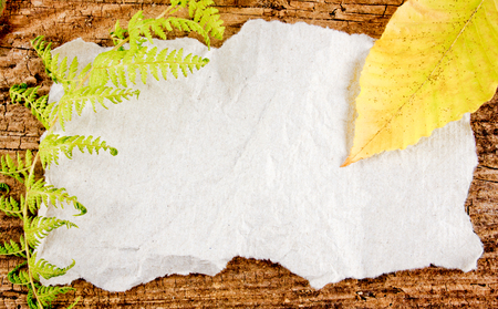 Fall leaves on a white paper wooden backgroundの写真素材