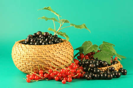 Berries of a red and black currant in a basket.の写真素材