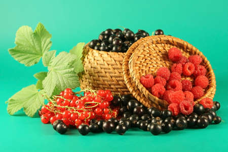 Berries of a red currant, a black currant and raspberry  in a basket.の写真素材