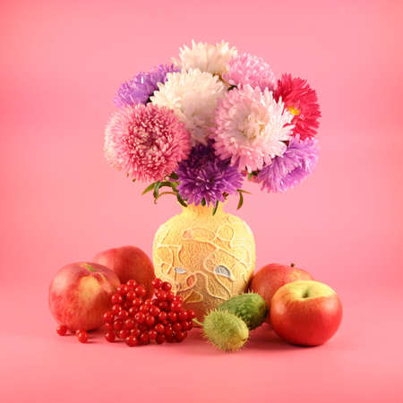 Asters in a vase, a guelder-rose and apples on a pink background.の写真素材