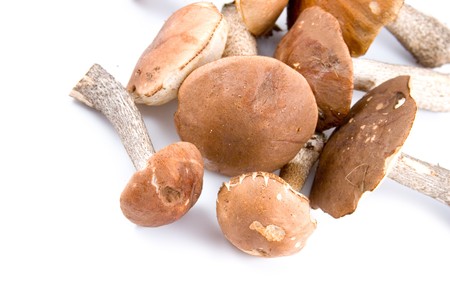 Mushrooms isolated on a white background の写真素材