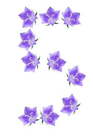 Flower number 5 isolated on white backgroundの写真素材