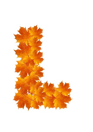 Letter L from orange autumn maple leaves の写真素材