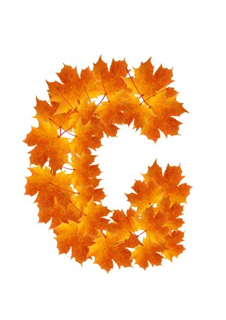 Letter G from orange autumn maple leaves の写真素材