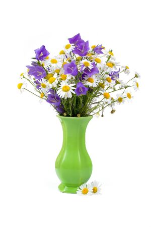 Chamomiles and campanulas on white background, summer flowerの写真素材