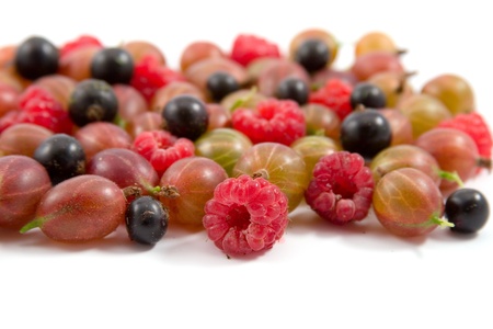 Berries: raspberry, gooseberry and currant isolatedの写真素材