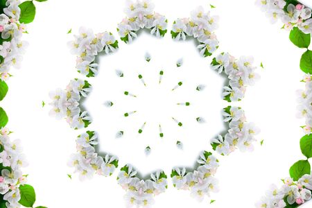 Kaleidoscope. Apple-tree blossoms on a white background の写真素材