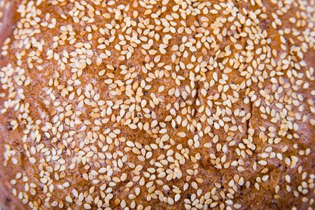 Round bread  with  sesame seeds, backgroundの写真素材