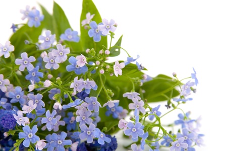 Bouquet of spring flowers on a white backgroundの写真素材