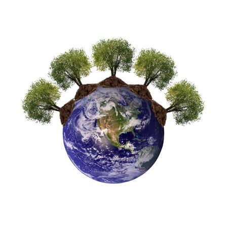 trees growing from the earth on a white background の写真素材