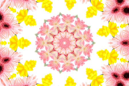 Kaleidoscope of beautiful gerberas, summer flowerの写真素材