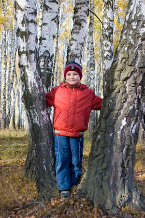 Little boy in autumn birch forestの写真素材