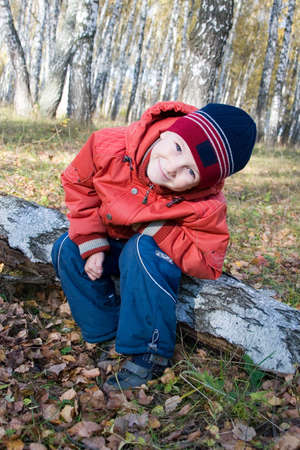 Little boy in autumn birch forestの写真素材
