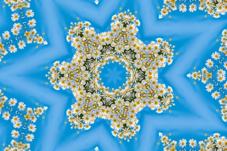 Kaleidoscope of beautiful wild flowers, summer flowerの写真素材