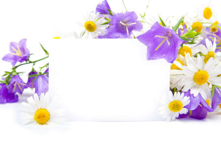 Greeting card for congratulations with bluebells and daisies on a white backgroundの写真素材